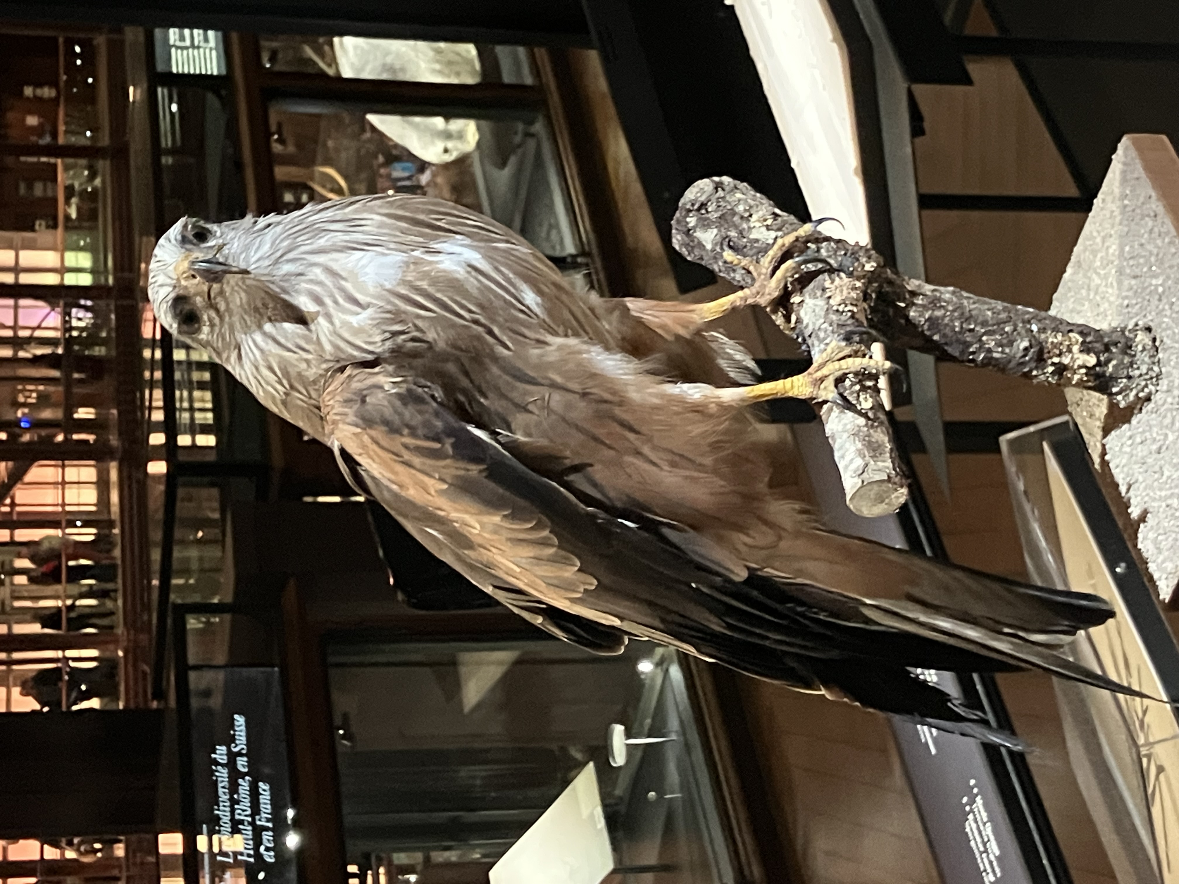 Manoir de Saint-Armel